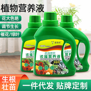 universal solution green leaf Plant plant nutrient