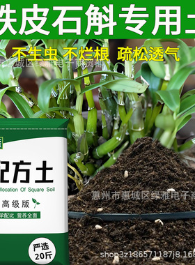 Dendrobium officinale, nutrient soil, flower type, vegetabl