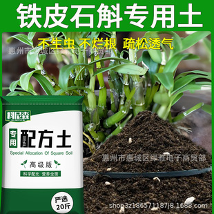 officinale type nutrient flower vegetabl soil Dendrobium