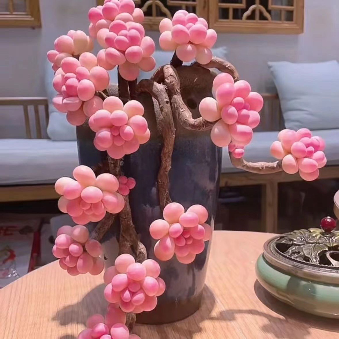 Peach egg old pile multi head group succulent plant potted