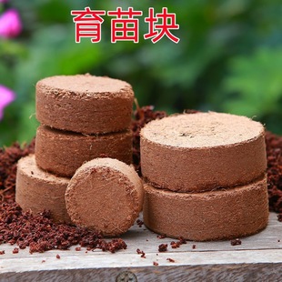 seedling coir block grass nutrit Compressed flower coconut