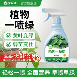 A spray of green non diluted nutrient solution on Aishang p