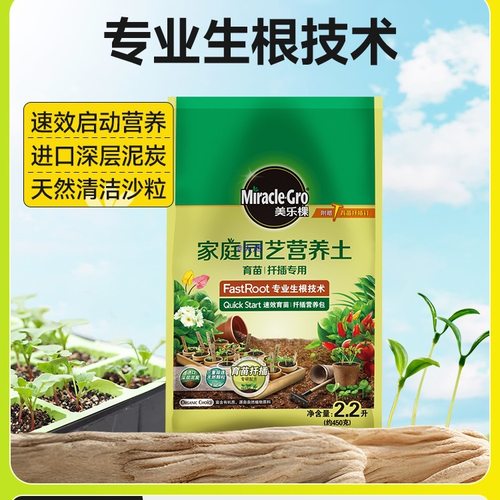 Seedling propagation, cutting, soil, small bags, nutrient s