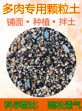 Succulent special particle soil paving stone Succulent spec