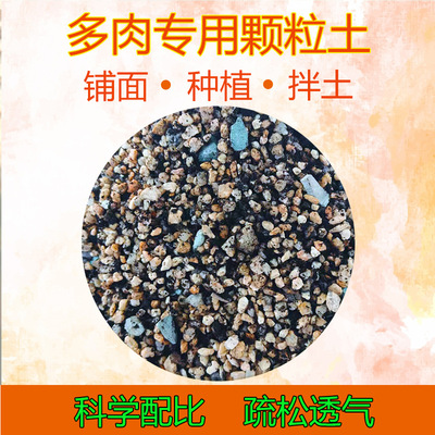 Succulent special particle soil paving stone Succulent spec