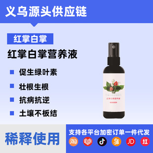 good luck smooth palm forefront red the White