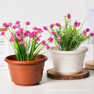 绿萝多肉盆栽盆水培育苗花盆阳台种花专用塑观景装饰绿植