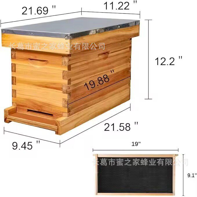 朗氏蜂箱五框育王小型 家用蜜蜂蜂巢 蜜蜂箱全套 养蜂工具