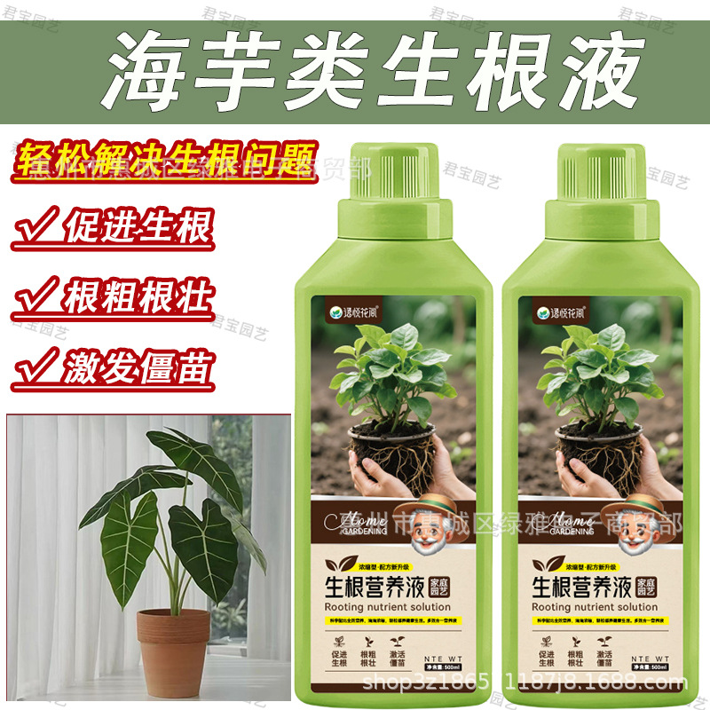 Taro rooting solution, hydroponic plant universal nutrient