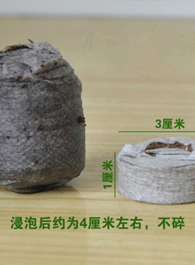 Special price premium seedling blocks, compressed nutrient