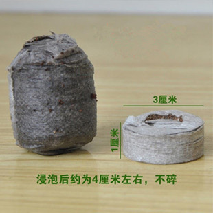 price compressed premium blocks nutrient seedling Special