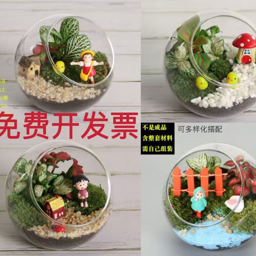 工具苔藓微景观生态瓶diy材料创意办公室迷你植物多肉活动盆栽套