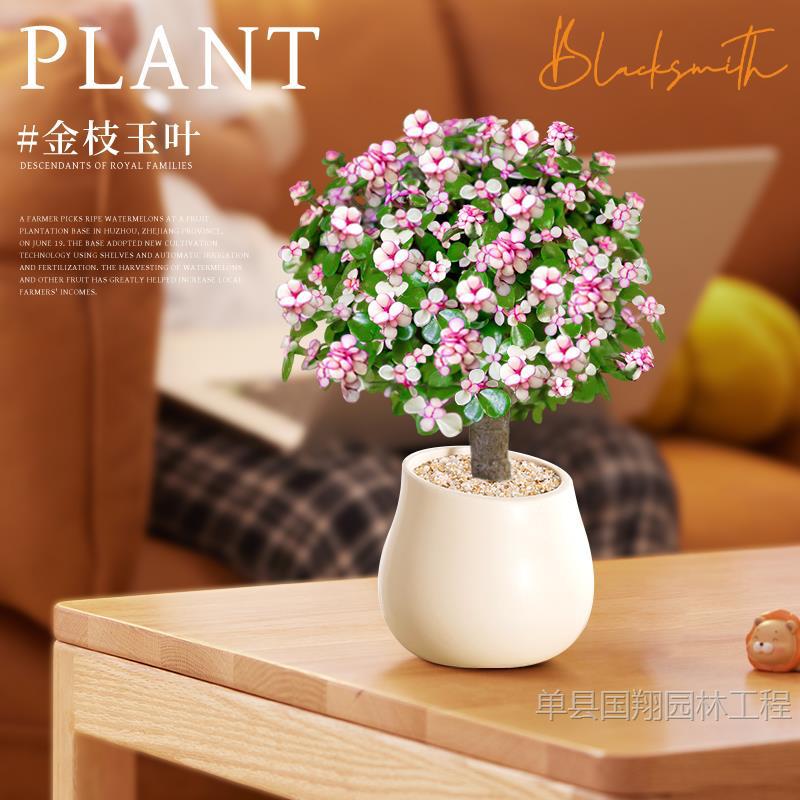 Golden branches, jade leaves, potted plants, indoor balconi