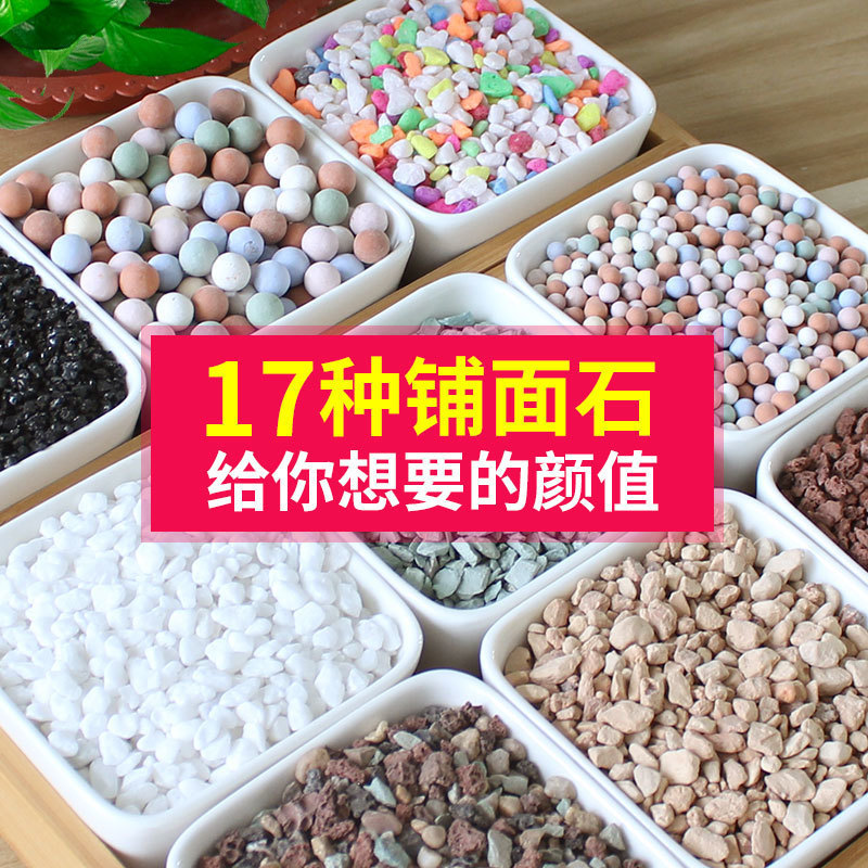 Succulent specific nutrient soil, ceramic particles, vermic
