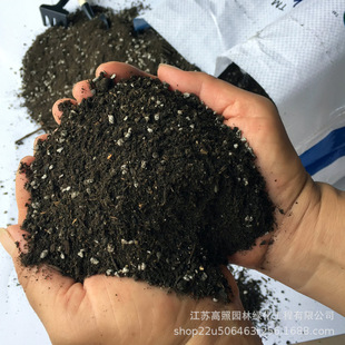 Soil Seedling Bulk Plant Organ Green Nutrient