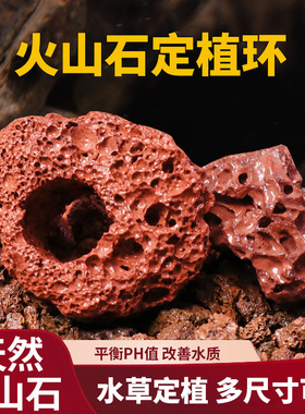 水草固定种植红色打孔火山石大块定植环鱼缸造景装饰底座