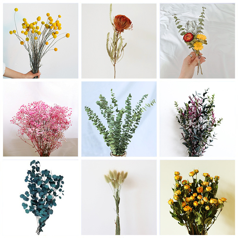 Yunnan dried flower bouquet DIY material real rose Eucalypt