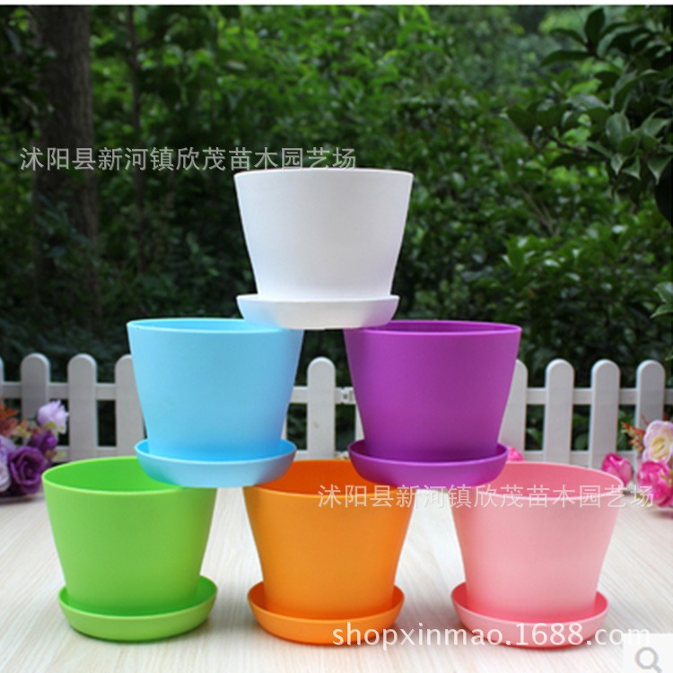 Wholesale eight color succulent flowerpot, curved open plas