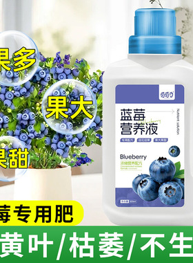 Blueberry Nutrient Liquid Efficient Berry Blueberry Plantin