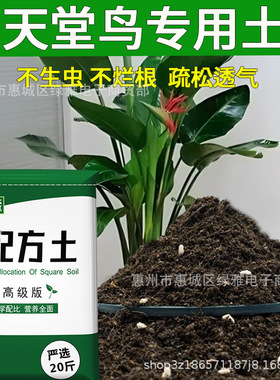 Paradise Bird Nutritious Soil Flower Type Vegetable Plantin