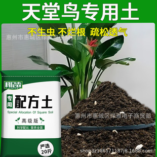 Soil Nutritious Flower Type Plantin Paradise Vegetable Bird