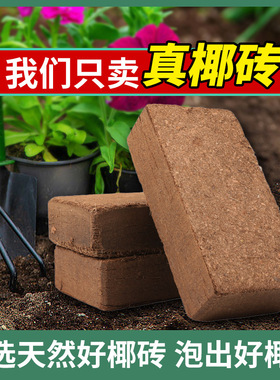 Coconut brick nutrient soil, coconut coir, coconut soil for