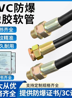 耐高温BNG防爆挠性连接管DN20防爆穿线软管DN15穿线电缆防爆管NGD