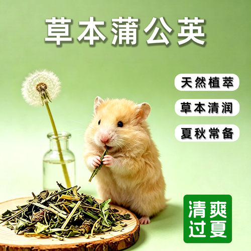 夏季清新蒲公英草本小宠零食