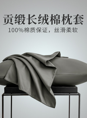 家用高档长绒棉枕套一对装纯棉全棉小尺寸40x60cm35x55cm30x60cm