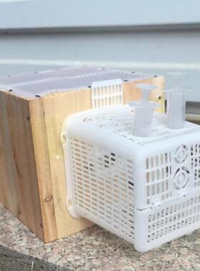 方型黄脚活动区木箱整套喂食笼黄脚胡蜂活动区胡蜂带控王片翻盖