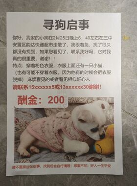 定制A4纸定制寻人寻物粘贴寻狗寻猫彩印贴纸彩图内容防水