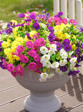 新品牵牛花假花仿真花束单支塑料绢布干花花坛栅栏花插花田园装饰