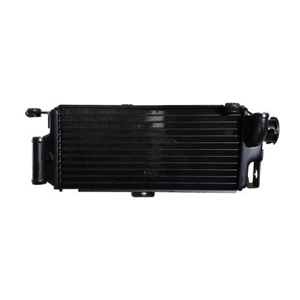 极速升仕ZT30h0 ZT310-TT1T2X1X2R1R2摩托车左右水箱副水箱散热器