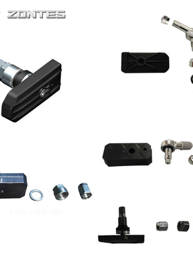 升仕ZT150/310/ZT350D E M GK S X V R T1摩托车胎压传感器感应器