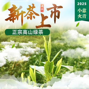 2025高山云雾茶叶涌溪火青500g包邮安徽泾县特产散装绿茶耐泡