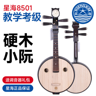 北京星海小阮8501硬木小阮星海牌成人儿童考级学习教学实木小阮琴