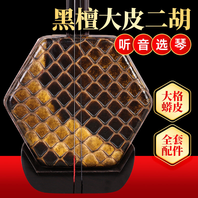 黑檀二胡大皮大菱格蟒皮二胡琴黑檀木专业成人演奏考级二胡乐器