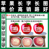 老师系列红富士摘袋使用胶带式 感恩我 包邮 水果字贴图181满百