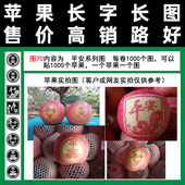 红富士摘纸袋使用一千帖 包邮 山西用于苹果贴膜图70平安胶带式 满百