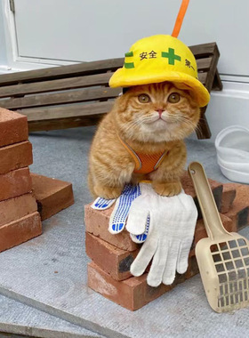 宠物工程队安全帽狗狗猫咪万圣节宠物饰品宠物柯基拉布拉多拍照