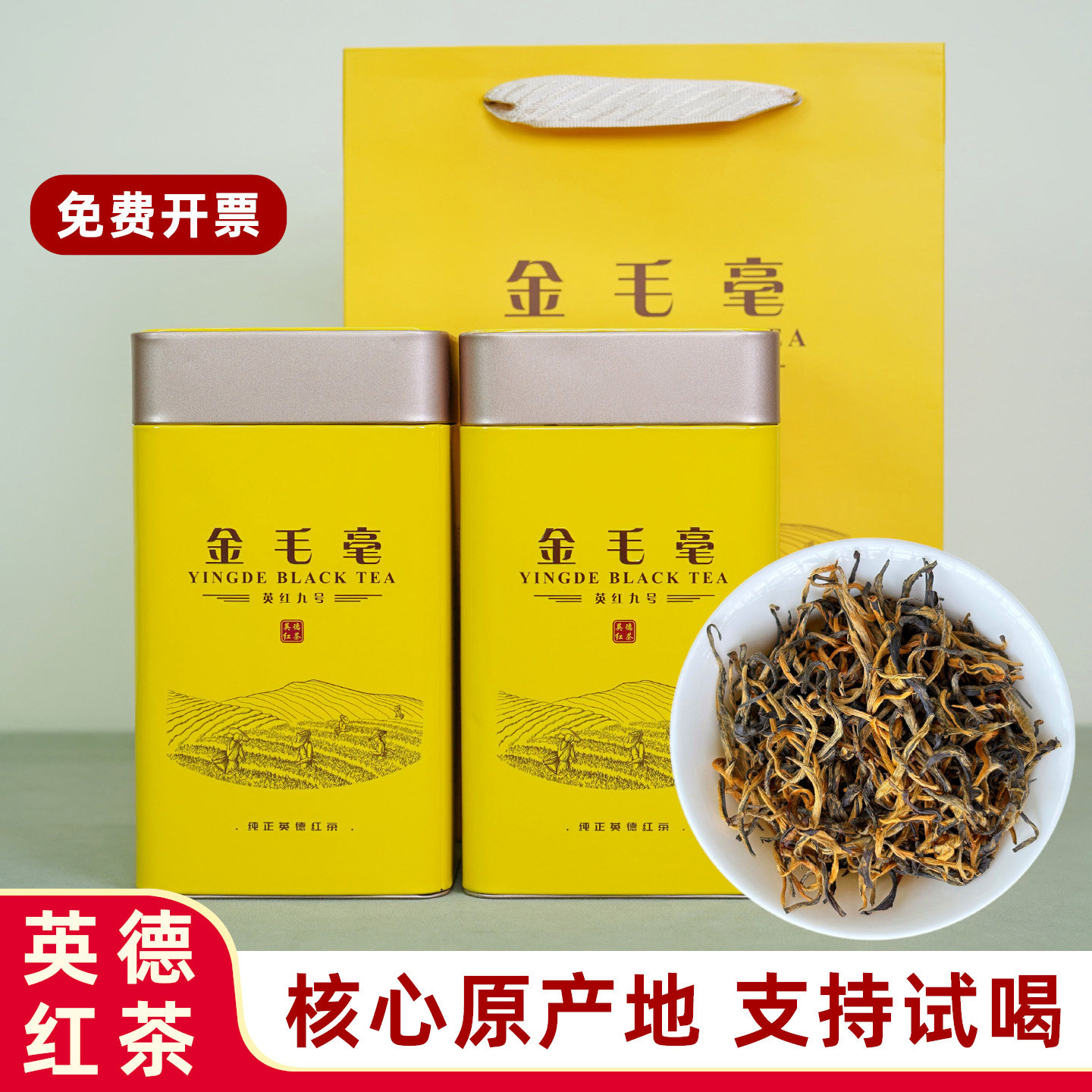 英德红茶英红9号特级金毛毫春茶
