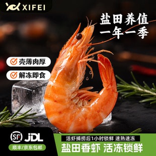 希菲熟冻盐田香虾无添加自然生长肉质鲜甜紧实Q弹即食冷链运输