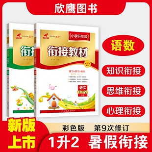 小学1升2年级衔接 2024适用一升二衔接语文数学暑假衔接 下册升二年级 培训辅导班人教版 一年级作业 通用苏教北师培优辅导书