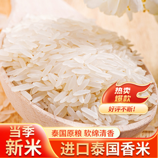 云辛泰国香米原粮进口大米猫牙米长粒香大米手抓饭炒饭籼米5KG