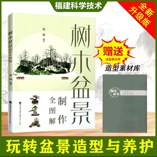 树木盆景制作全图解 彩图版 家庭公司户外盆景制作树木造型方法大全养护欣赏 新手入门零基础盆景制作教材 黄翔福建科学技术出版社