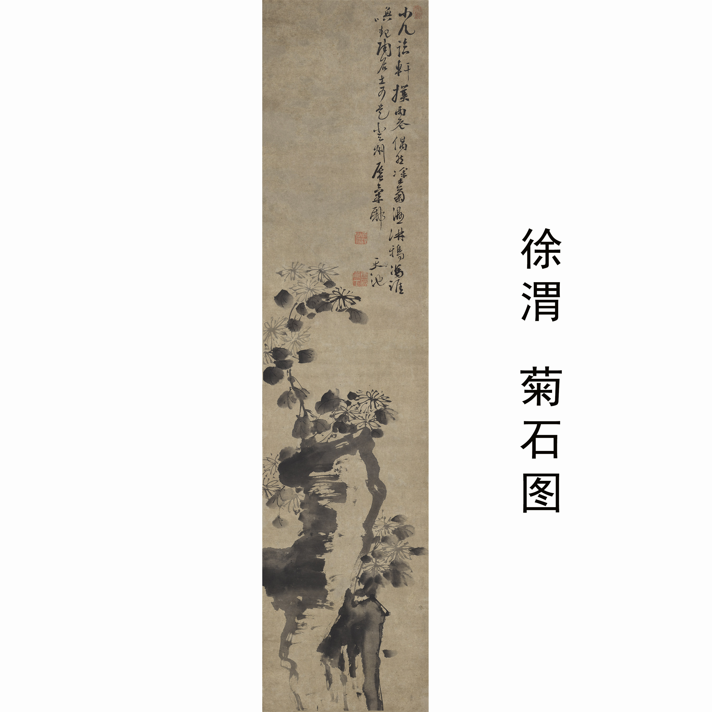 徐渭菊石图名家大写意水墨花鸟画装饰画客厅书房挂画花鸟意境画