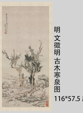 1:1古书画真迹复制品明文徵明 古木寒泉图 文征明国画立轴宣纸