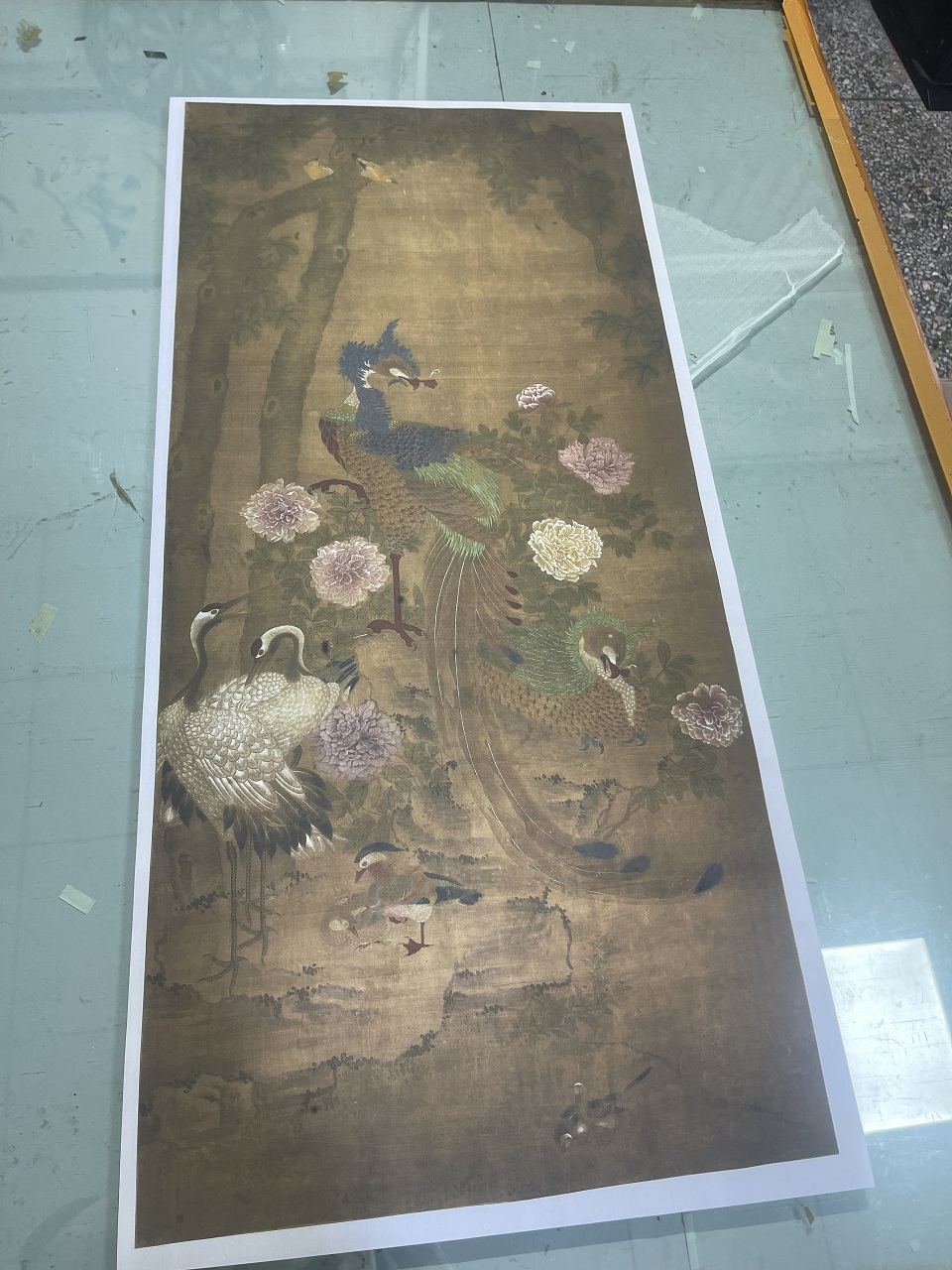 宋代佚名孔雀图孔雀图