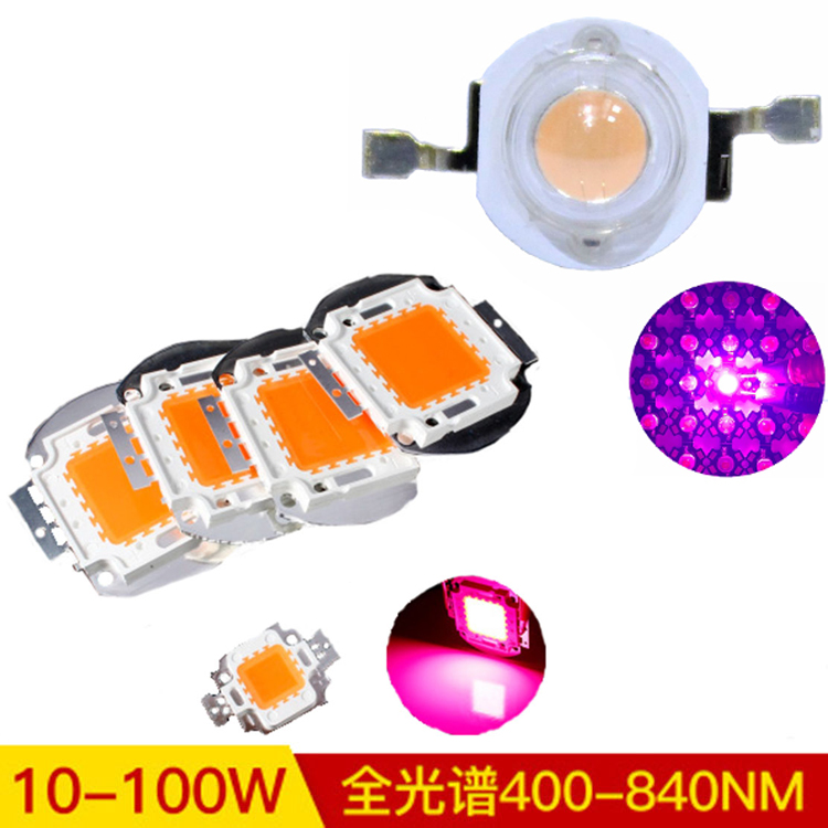 全光谱大功率led灯珠