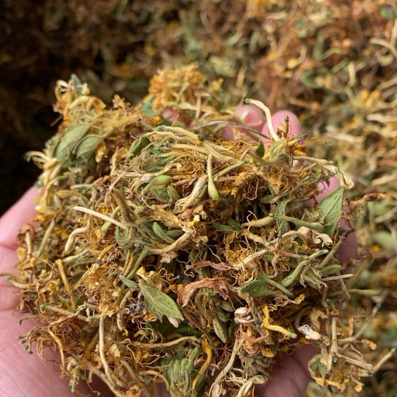 野生金银花中药材清热婴儿洗澡天然花草茶叶散装广东潮汕凉茶中医